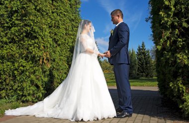 Gelin ve damat parkta evlen. Açık düğün