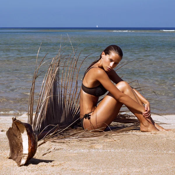 Kadın bikini plaj güneş keyfini deniz kenarında palmiye dalı ile. Uzun süre ıslak saç. Birim kıvırcık saç modeli. Tropics. Sıcak yaz günü. Seksi kız. Tatil. Phuket Adası Fotoğraf. Tayland