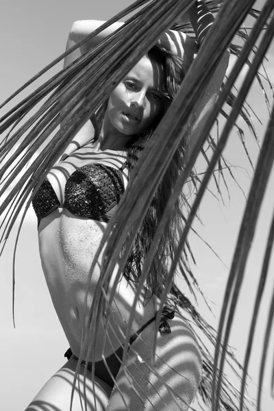일을 즐기는 바다 근처 해변에 팜 분기와 비키니에 여자. 젖은 긴 머리. 볼륨의 곱슬 헤어스타일 열 대입니다. 더운 여름 날입니다. 섹시한 소녀. 휴가입니다. 푸 켓 아일랜드에서 사진입니다. 태국 — 스톡 사진