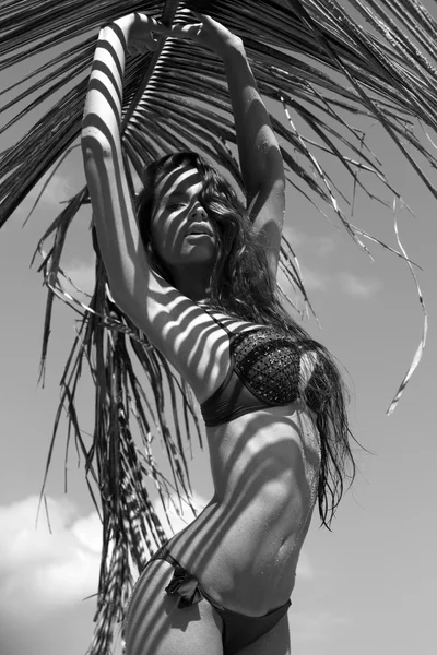 Kadın bikini plaj güneş keyfini deniz kenarında palmiye dalı ile. Uzun süre ıslak saç. Birim kıvırcık saç modeli. Tropics. Sıcak yaz günü. Seksi kız. Tatil. Phuket Adası Fotoğraf. Tayland — Stok fotoğraf