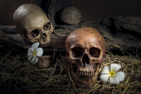Νεκρή φύση ζευγάρι ανθρώπινο κρανίο με λουλούδι Plumeria και hay — Φωτογραφία Αρχείου