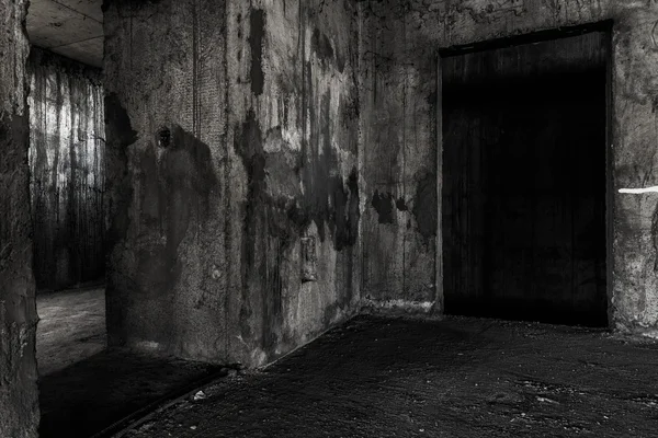 2 つのドアのある場所に住んでいる廃屋ゴースト — ストック写真