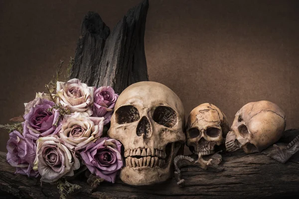 still life photography with human skull and roses