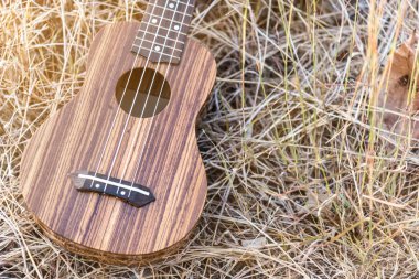 ukulele vintage Style ile natürmort