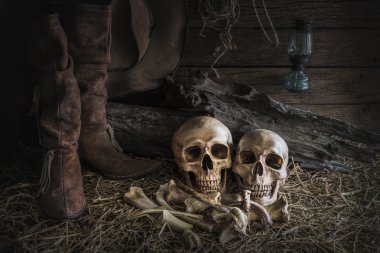 still life with human skull in barn background