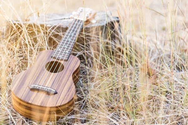 Ukulele em estilo vintage — Fotografia de Stock