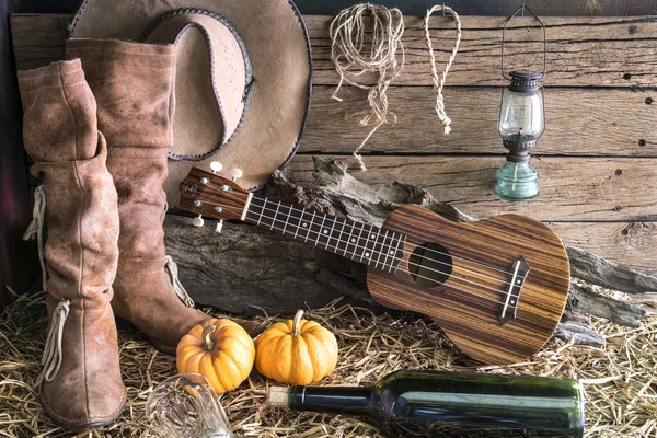 Ukulele com chapéu de cowboy no estúdio do celeiro — Fotografia de Stock