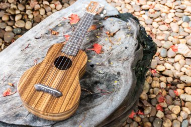 Ukulele üzerine ahşap masa