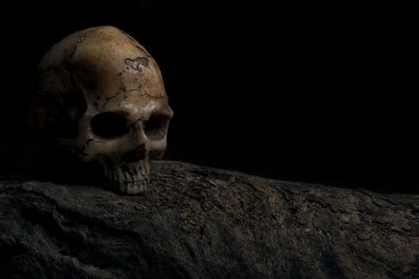 İnsan kafatası ile Cadılar Bayramı için davetiye