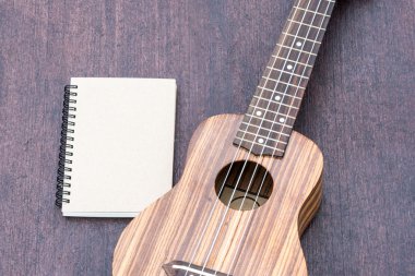 Ukulele notebook ile
