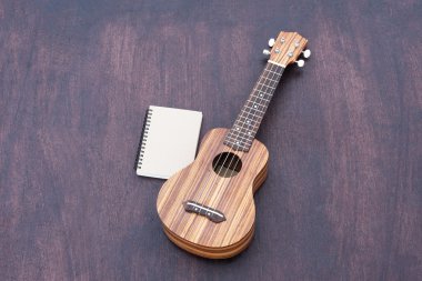 Notebook ile ukulele