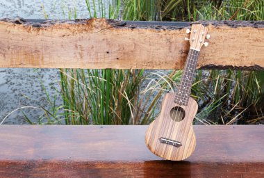 Ukulele bankta