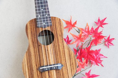 Ukulele Japonya'da