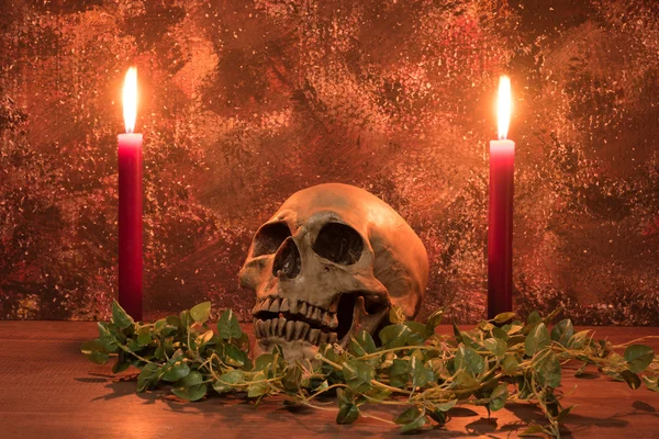 Stillleben-Malerei Fotografie mit menschlichem Schädel, Kerze und Dri — Stockfoto