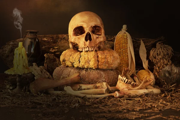 Nature morte avec crâne, fruits secs et foin — Photo