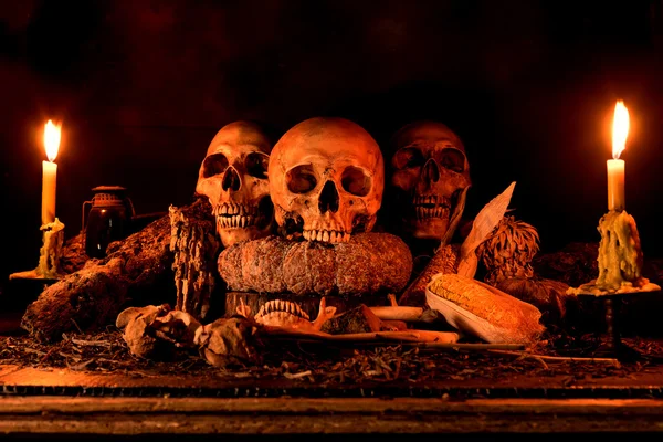 Still life with three skulls, dry fruit and hay — Stock Photo, Image