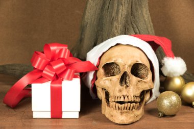 Kafatası ve hediye ile natürmort