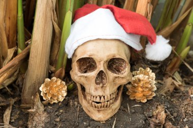 Natürmort kafatası, karanlık kavramı ile