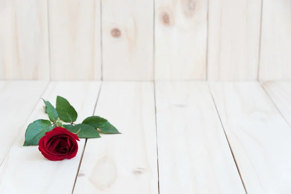 Червона троянда на дерев'яному фоні — стокове фото