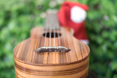 Ukulele Noel şapka ile bulanıklık
