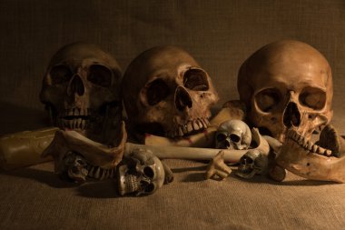 kafatasları ve kemikleri ile natürmort