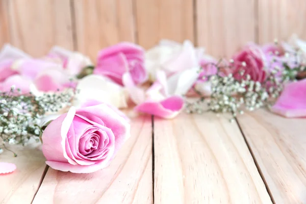Рожева троянда і пелюстка — стокове фото