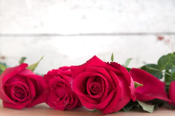 Троянди на день Святого Валентина — стокове фото