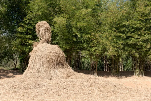Hay bale with bamboo background — Stock Photo, Image