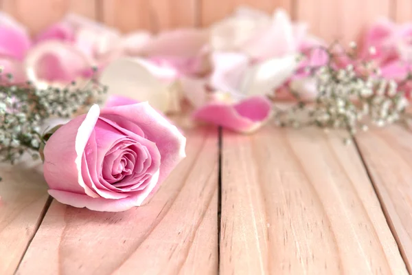 Рожеві троянди і пелюстка для кохання — стокове фото