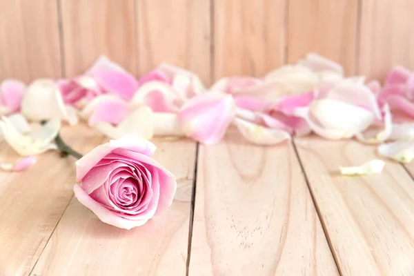 Рожеві троянди і пелюстка для кохання — стокове фото