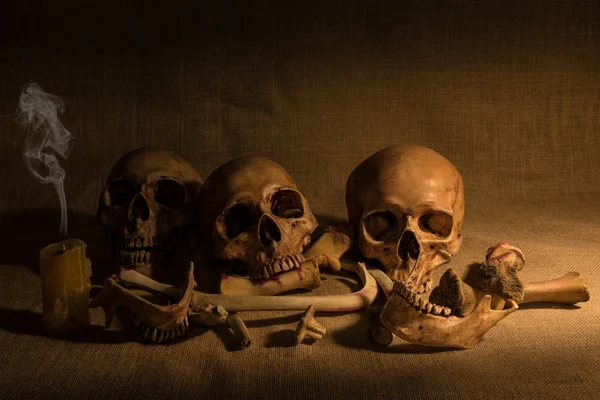 Martwa natura z czaszek i kości — Zdjęcie stockowe