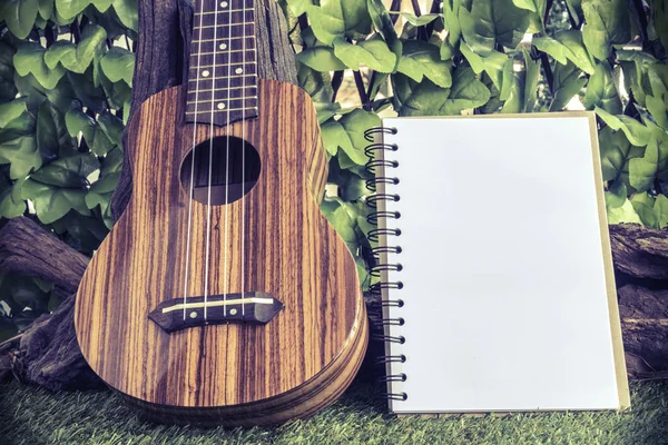 Ukulele com notebook no fundo do jardim — Fotografia de Stock