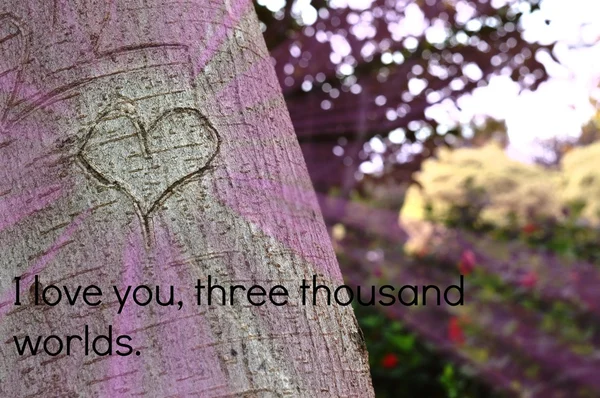Love Day, 14 de fevereiro, Valentine. coração na árvore, declaração de amor — Fotografia de Stock