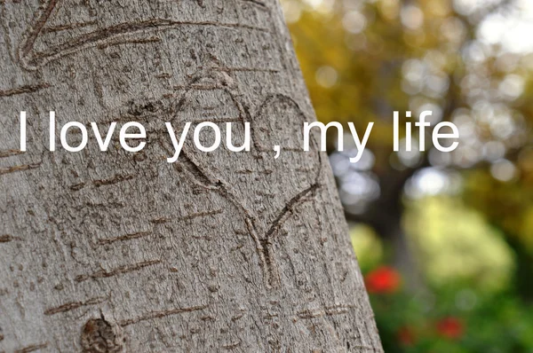 Dzień 14 lutego Walentynki miłość. serce na drzewie, deklaracja miłości — Zdjęcie stockowe