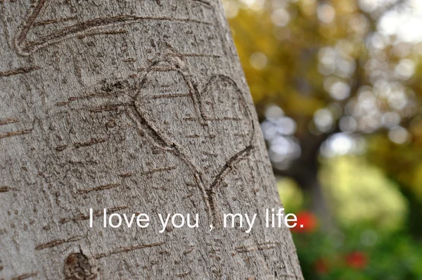 Día del Amor, 14 de febrero, San Valentín. corazón en el árbol, declaración de amor —  Fotos de Stock