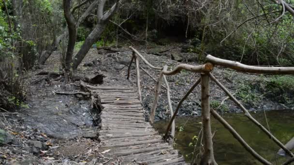 Creek χαράδρα της Zernicalos. Γκραν Κανάρια — Αρχείο Βίντεο