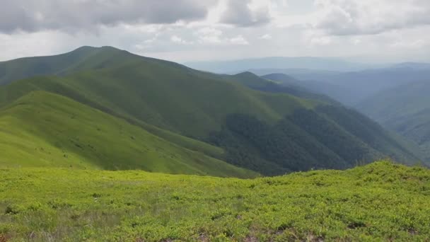 Karpat highlands dağ manzarası — Stok video