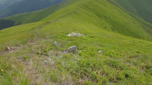 Carpathian highlands mountain landscape — Stock Video