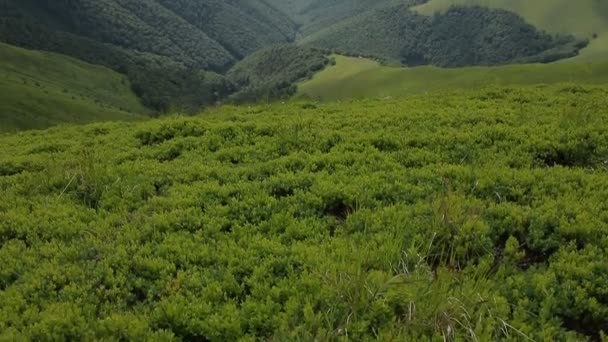 Karpatské vysočiny horská krajina — Stock video