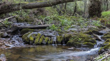 küçük bir zinciri su