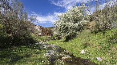 eski terk edilmiş fabrikası