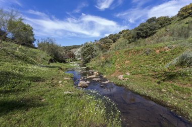 İlkbaharda küçük nehir