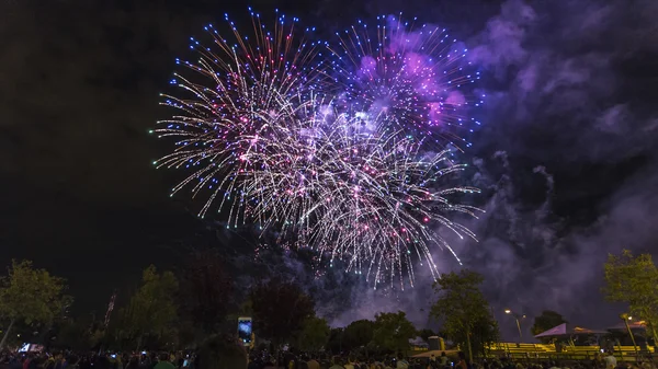 Fireworks ile manzara