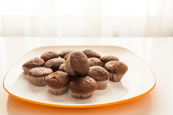 Muffins au chocolat savoureux dans une assiette blanche — Photo