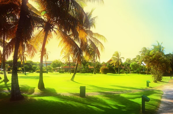 Tramonto su un bellissimo giardino tropicale in un lussuoso resort di carrube — Foto Stock