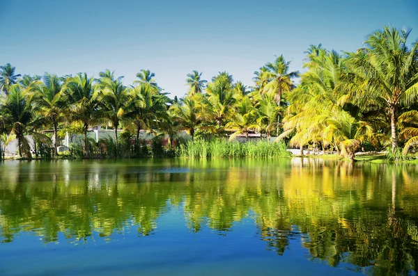 Vacker tropisk trädgård med sjön i carribean resort, Dominic — Stockfoto