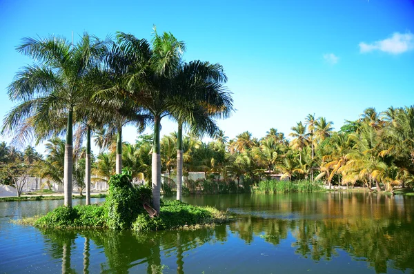 Tramonto sul bellissimo lago tropicale, Repubblica Dominicana — Foto Stock