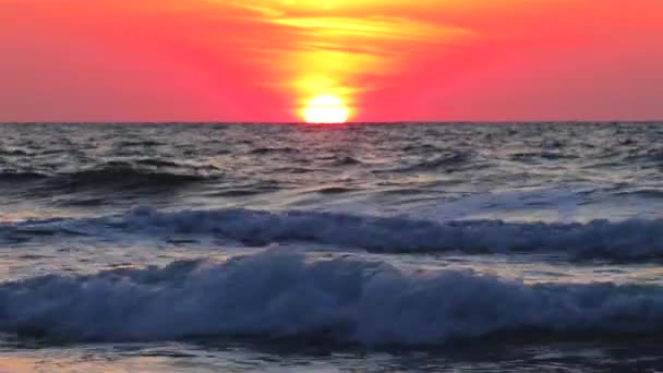 Colorido Oceano Praia Nascer Sol Vídeo — Vídeo de Stock