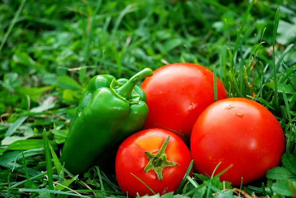 Çimlerin üzerinde taze sebzeler — Stok fotoğraf