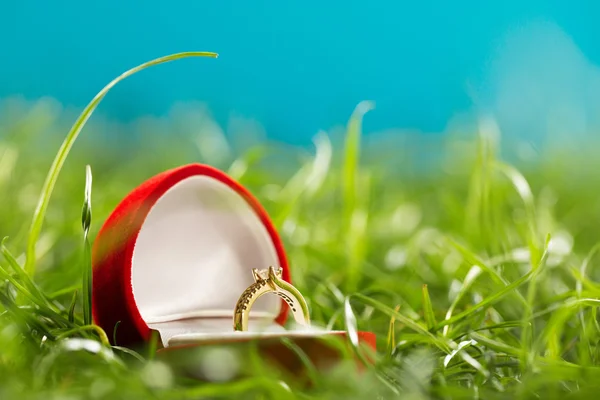 Caja de corazón de terciopelo con anillo dorado aislado en hierba verde — Foto de Stock